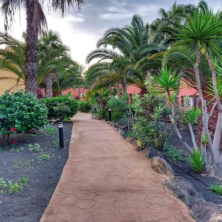 Oasis Papagayo Paradise Lejlighed